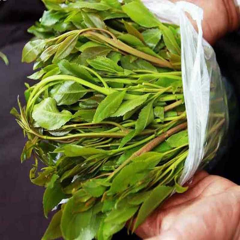 Khat