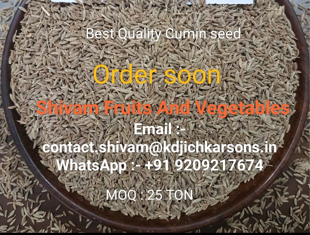 Cumin seeds (Singapore 99)